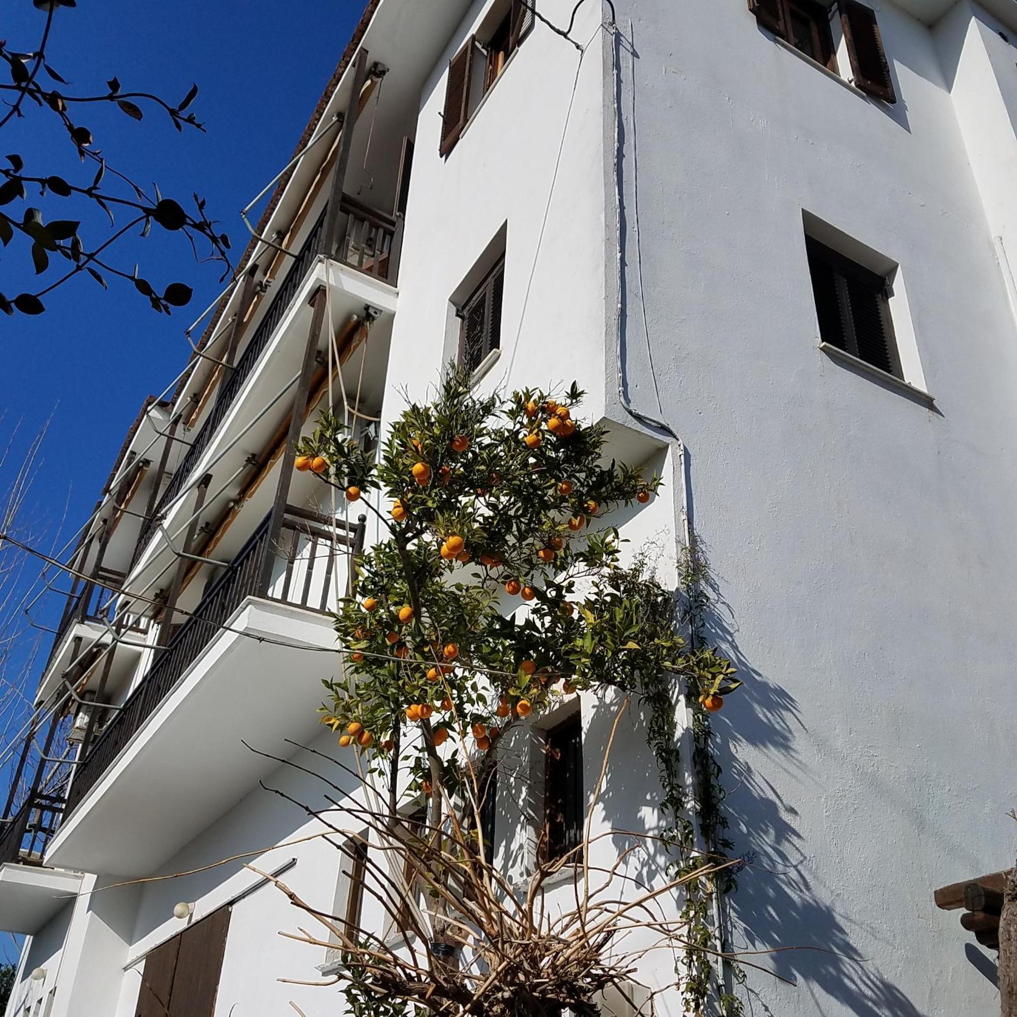 Studios Zina Kala Nera Dış mekan fotoğraf