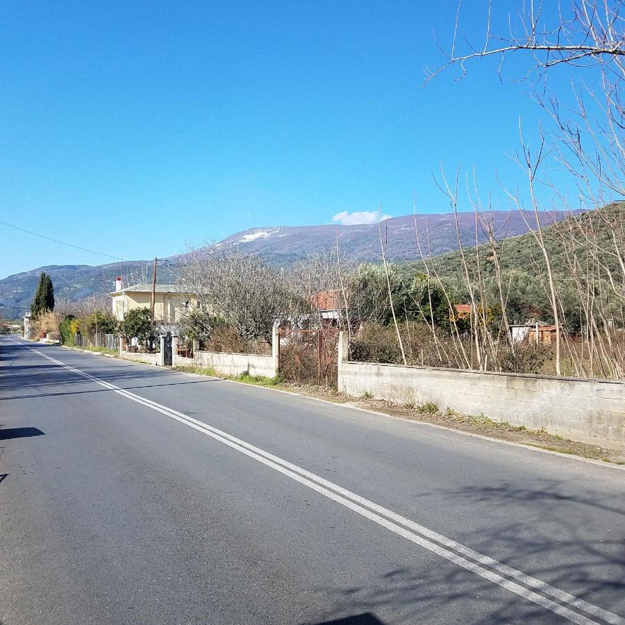 Studios Zina Kala Nera Dış mekan fotoğraf